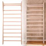 ΠΟΛΥΖΥΓΟ ΤΟΙΧΟΥ inSPORTline 215 x 80 cm