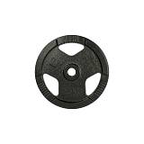Cast Iron Weight Plate 2,5kg(30mm)Black inSPORTline