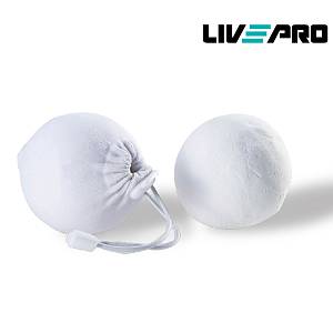 Σφαιρίδιο Μαγνησίας