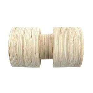 Σανίδα ισορροπίας (Balance Board)