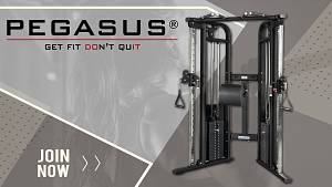 Pegasus® Functional Trainer Pro