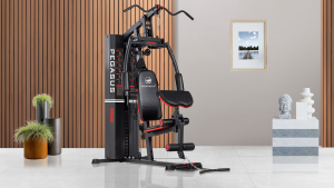 Πολυόργανο Pegasus® MS-600