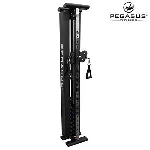 Functional Trainer Τοίχου Pegasus® T-SC01