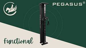 Functional Trainer Τοίχου Pegasus® T-SC01