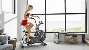 Schwinn® Airdyne® AD6
