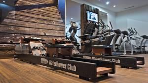 WaterRower Κωπηλατική Νερού Club S4