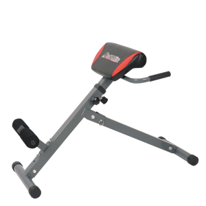 Πάγκος ραχιαίων Insportline