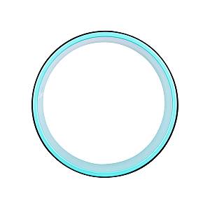 YOGA STRETCH ROLLER WHEEL INSP