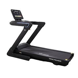 Δάδρομος ηλεκτρικός Viking Pegasus 4Hp