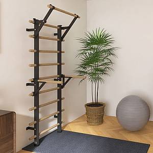 Wall Bars inSPORTline Wootamax 220 x 80 cm w/ Pull-Up Bar & Parallel Bars