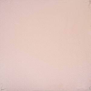Tatami Puzzle Mat inSPORTline Zemalpro 100 x 100 x 2 cm