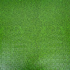 Tatami Puzzle Mat inSPORTline Zemalpro 100 x 100 x 2 cm