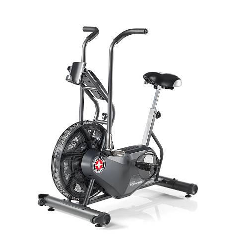 Schwinn® Airdyne® AD6