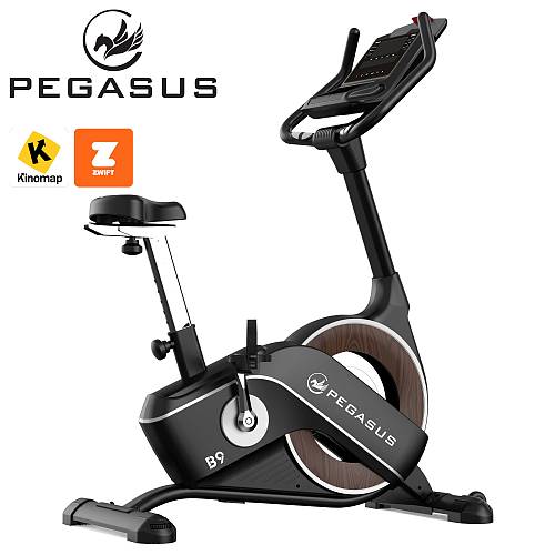 Ποδήλατο Γυμναστικής Pegasus® B9