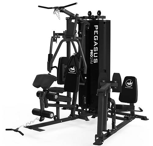 Pegasus® Pro Gym 3 Θέσεων MT-18504-ABC