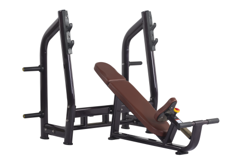 Luxury Incline Bench H-025 (VIKING)