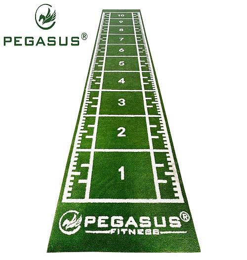 Pegasus® Συνθετικός Χλοοτάπητας 2x11m (3159)