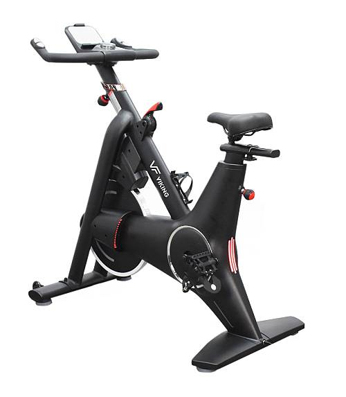 Viking Sparkle Ποδήλατο Spin