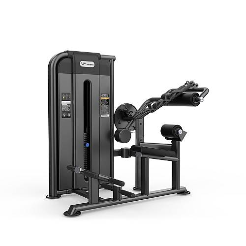 Viking Selectorized 2088, Μηχάνημα Κοιλιακών και Ραχιαίων