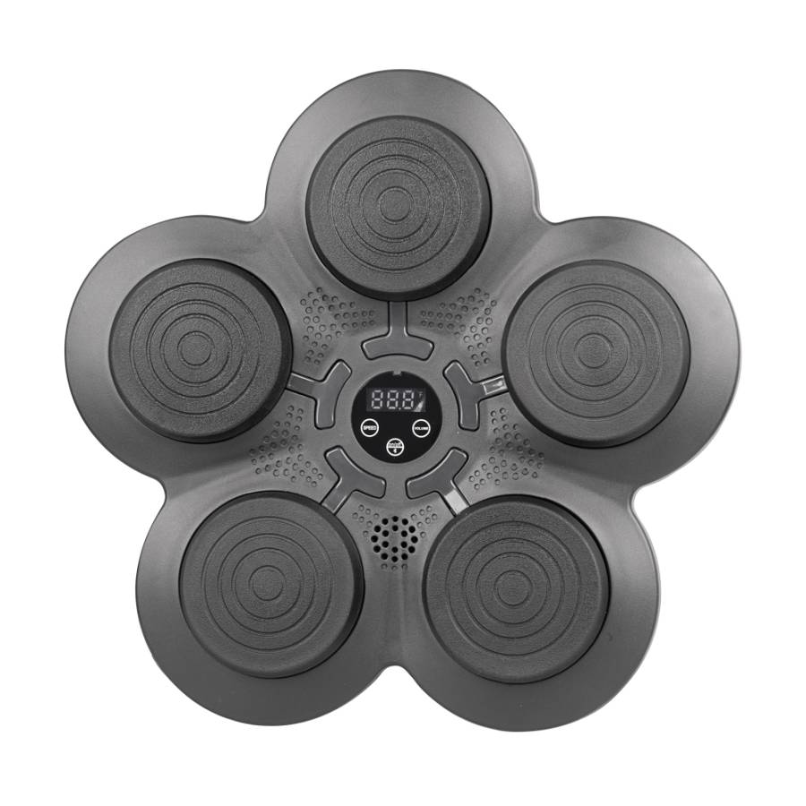 Wall-Mounted Electronic Punching Target inSPORTline Smartpunch
