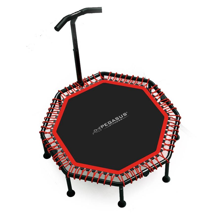 Pegasus® Οκτάγωνο τραμπολίνο με Λαβή 48 (122cm)