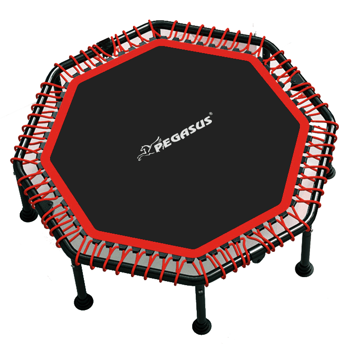Pegasus® Οκτάγωνο τραμπολίνο 48 (122cm)