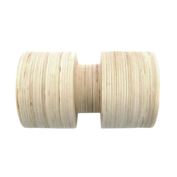 Σανίδα ισορροπίας (Balance Board)