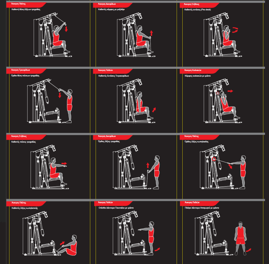 Πολυόργανο Pegasus® MS-600