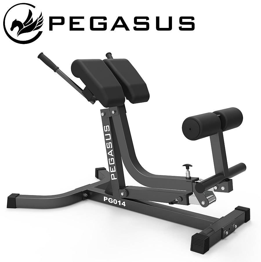 Pegasus® Πάγκος Ραχιαίων Ρυθμιζόμενος PG-014
