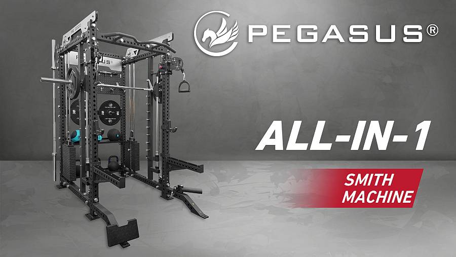 Pegasus® PG-2000 All-In-One Trainer