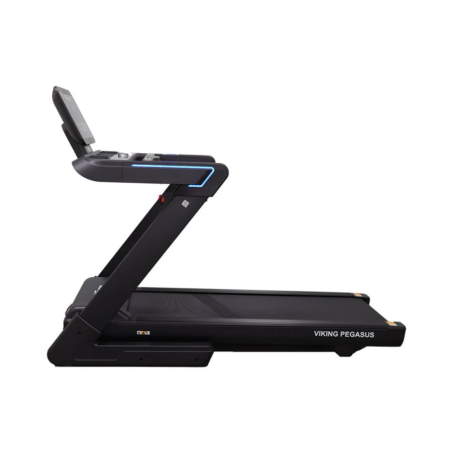 Δάδρομος ηλεκτρικός Viking Pegasus 4Hp