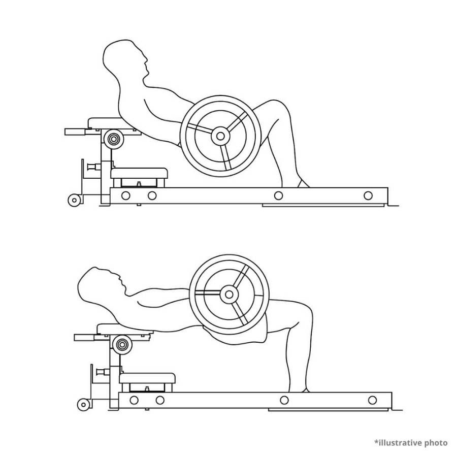 Hip Thrust Machine inSPORTline X-NT HT10 Hip Thrust