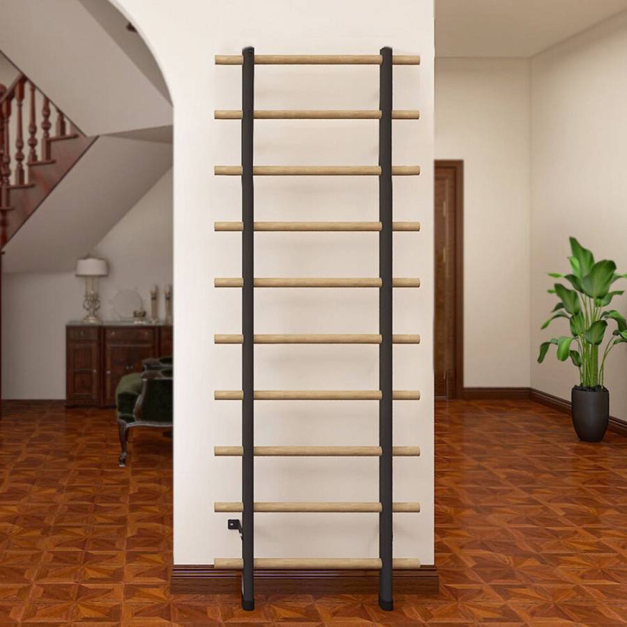 Wall Bars inSPORTline Wootamax 220 x 80 cm w/ 2 Installation Options