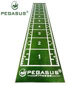 Pegasus® Συνθετικός Χλοοτάπητας 2x11m (3159)